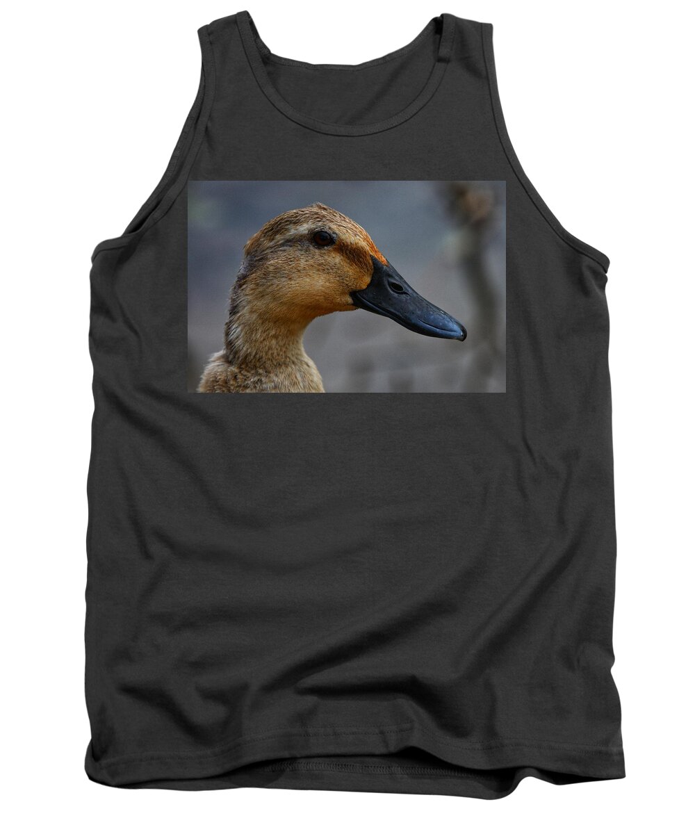 Photo Tank Top featuring the photograph Female Duck by Evan Foster