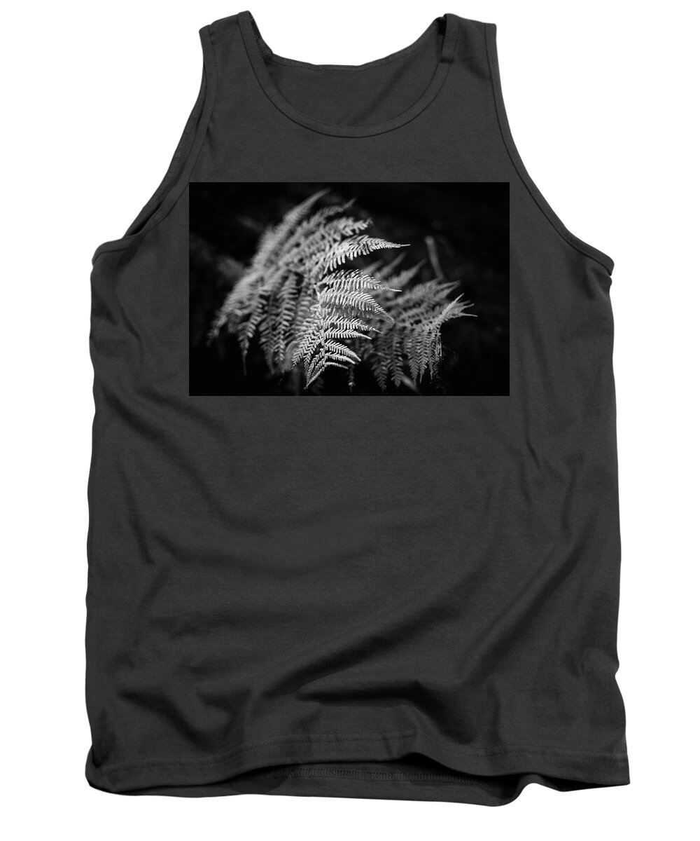Fern Tank Top featuring the photograph Fern Art by Martin Vorel Minimalist Photography