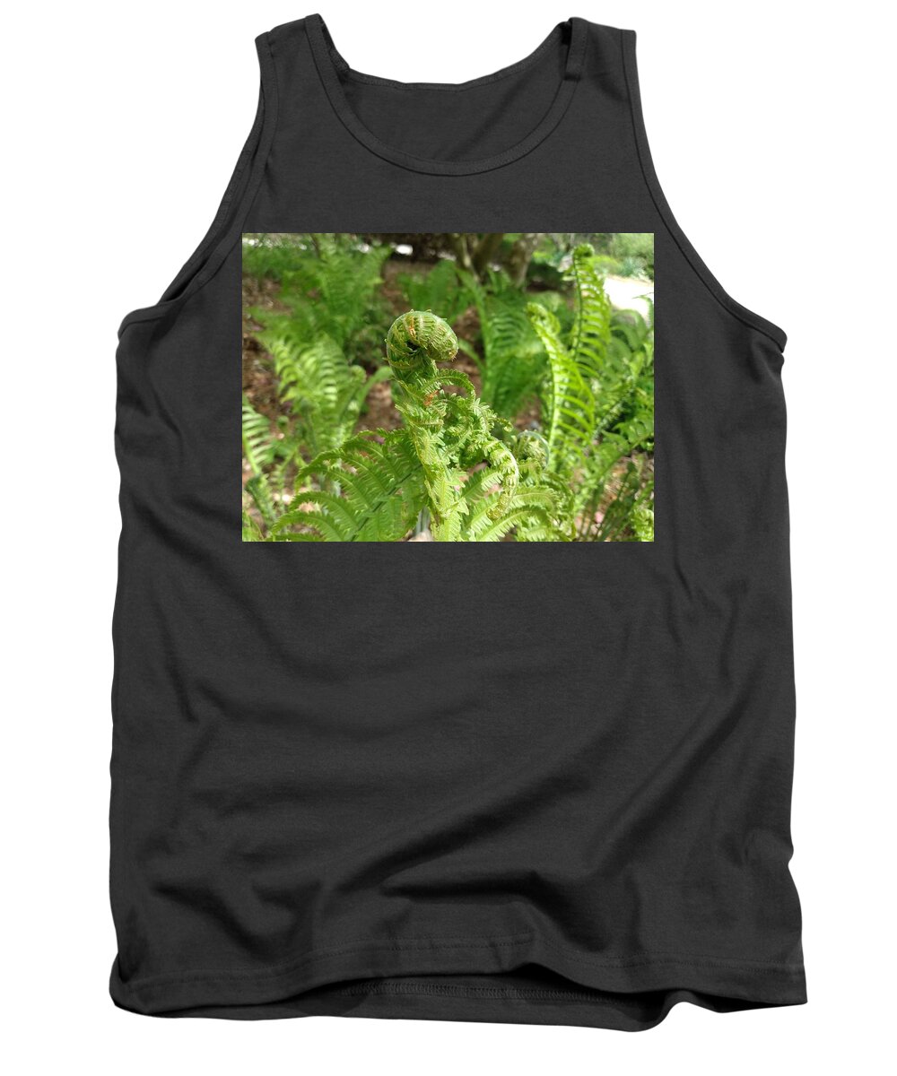 Fiddlehead Tank Top featuring the photograph Fiddlehead Fern in Spring by Christopher Lotito