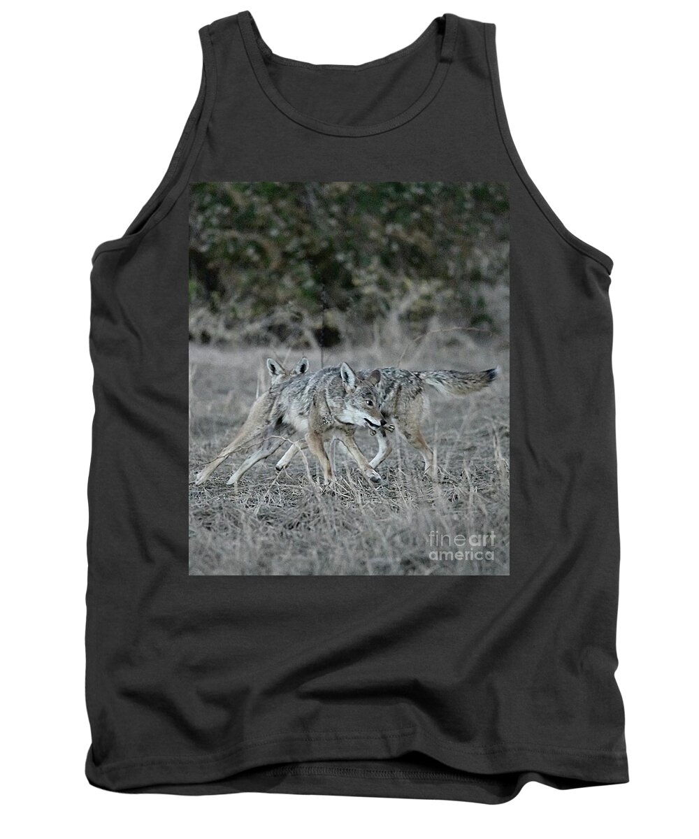 Coyote Tank Top featuring the digital art Fight Over Dinner by Tammy Keyes