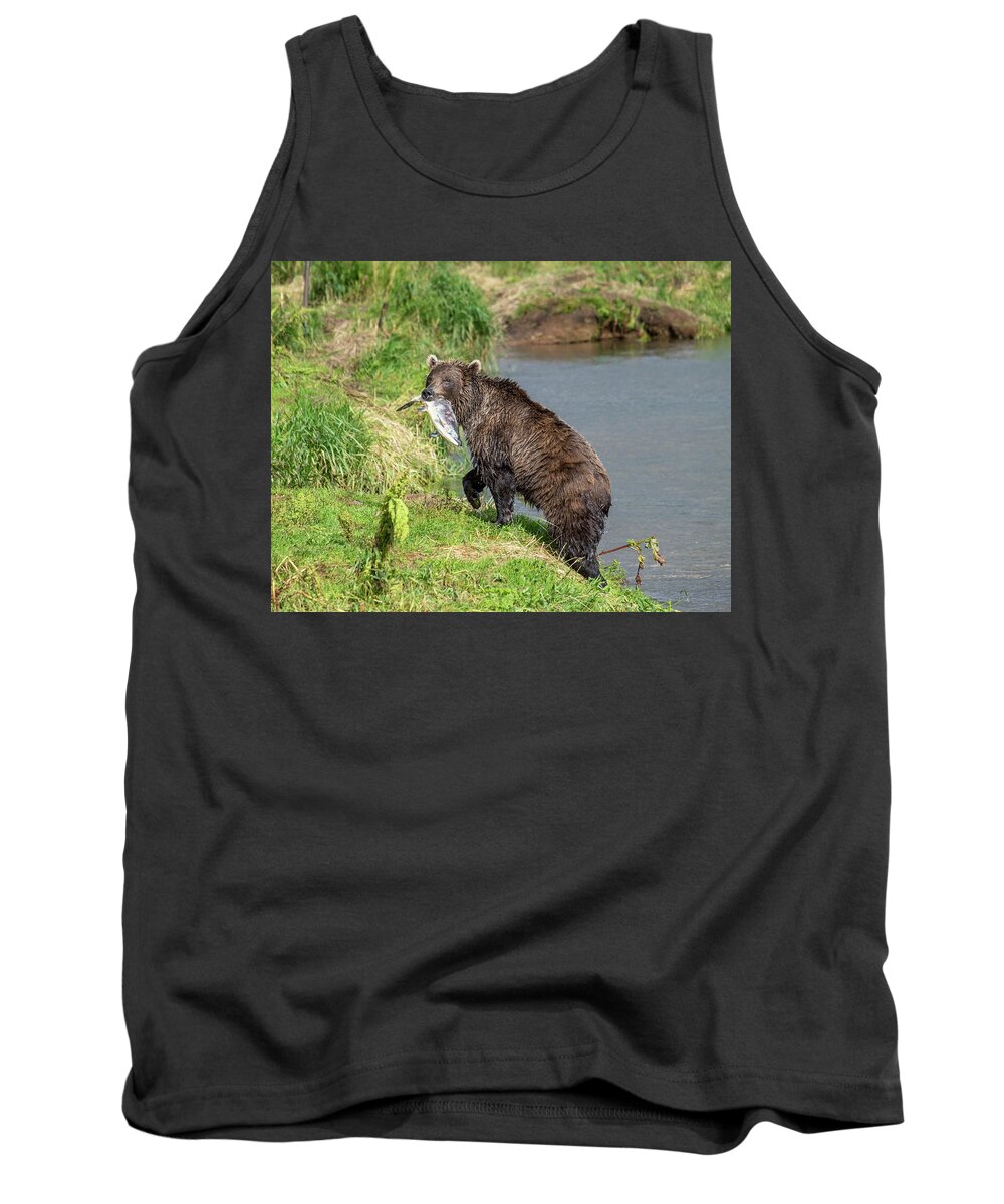 Bear Tank Top featuring the photograph Fishing brown bear with salmon by Mikhail Kokhanchikov