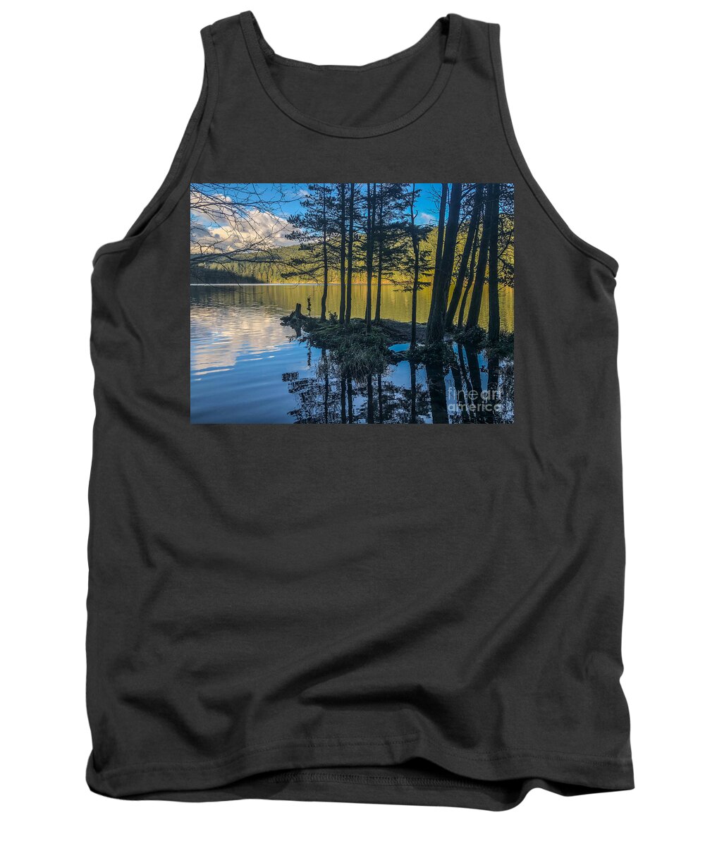 Orcas Island Tank Top featuring the photograph Flooded Lake by William Wyckoff