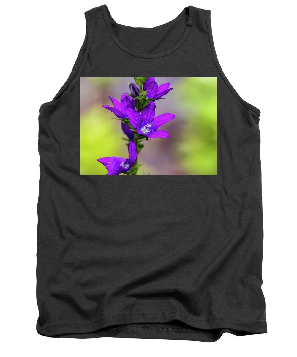 Plants Tank Top featuring the photograph Flower Photography - Spring Blooms by Amelia Pearn