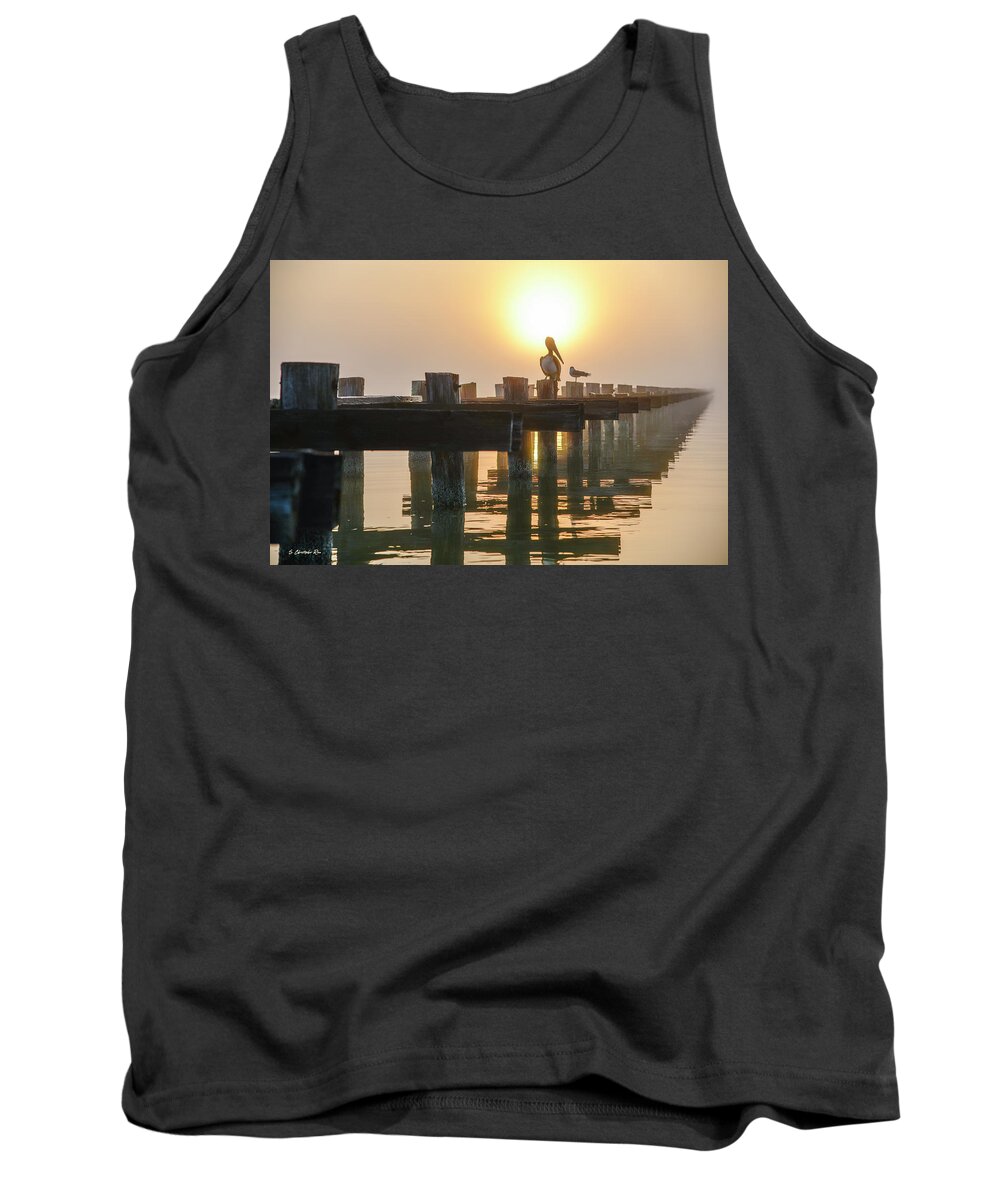 Pelican Tank Top featuring the photograph Foggy Coastline by Christopher Rice
