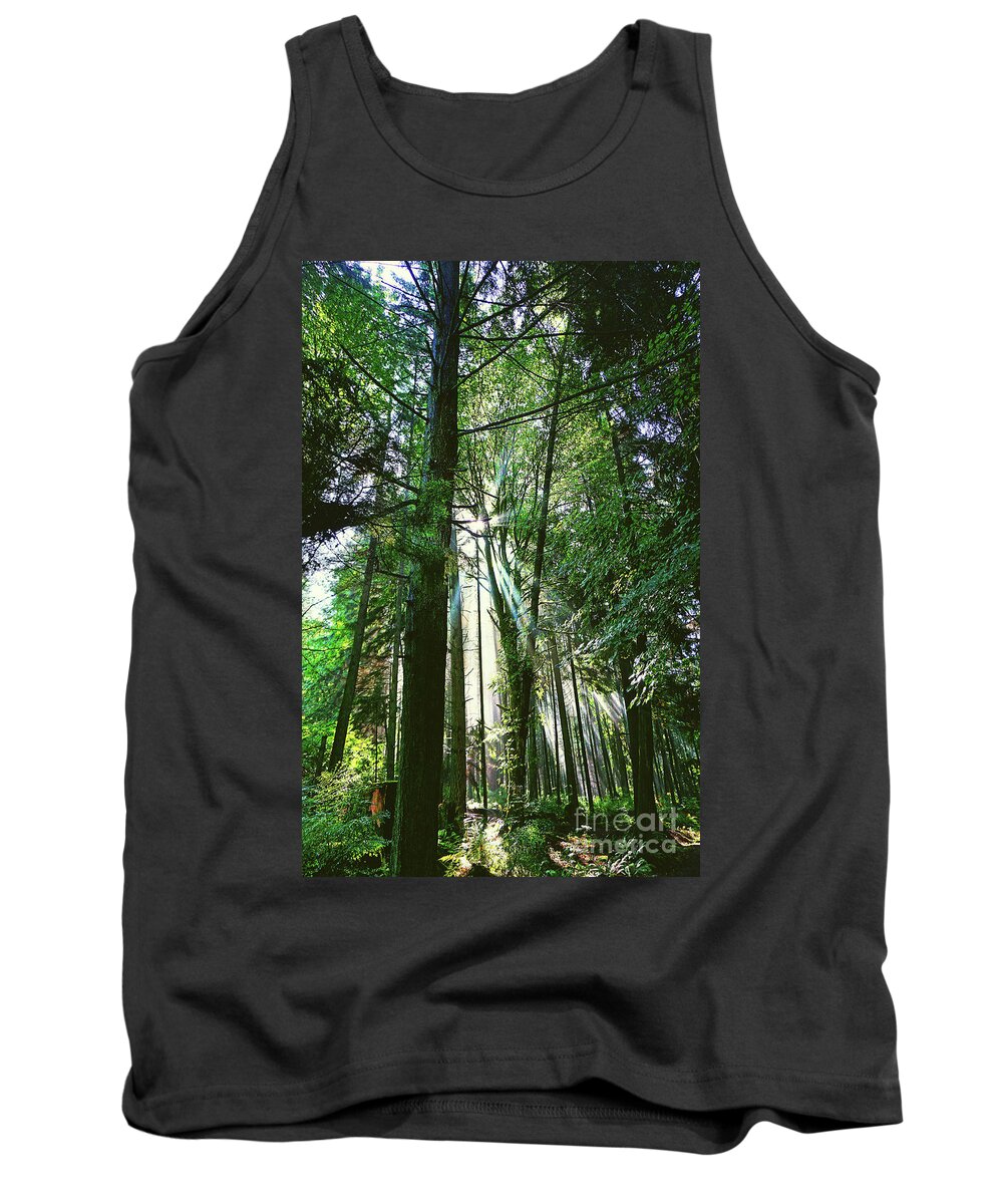 Forest Tank Top featuring the digital art Forest Light by Deb Nakano