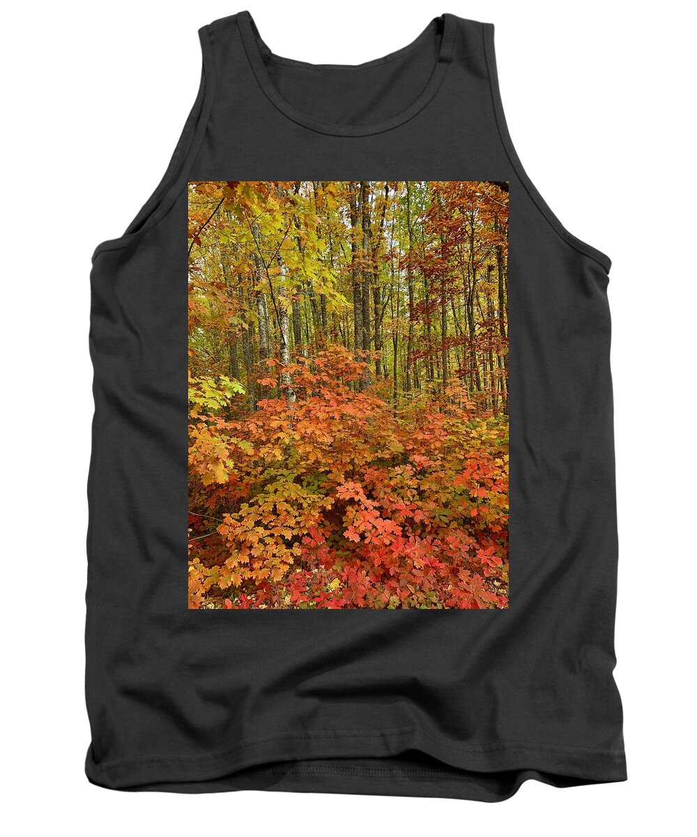 Forest Tank Top featuring the photograph Forest of Color by Brian Eberly