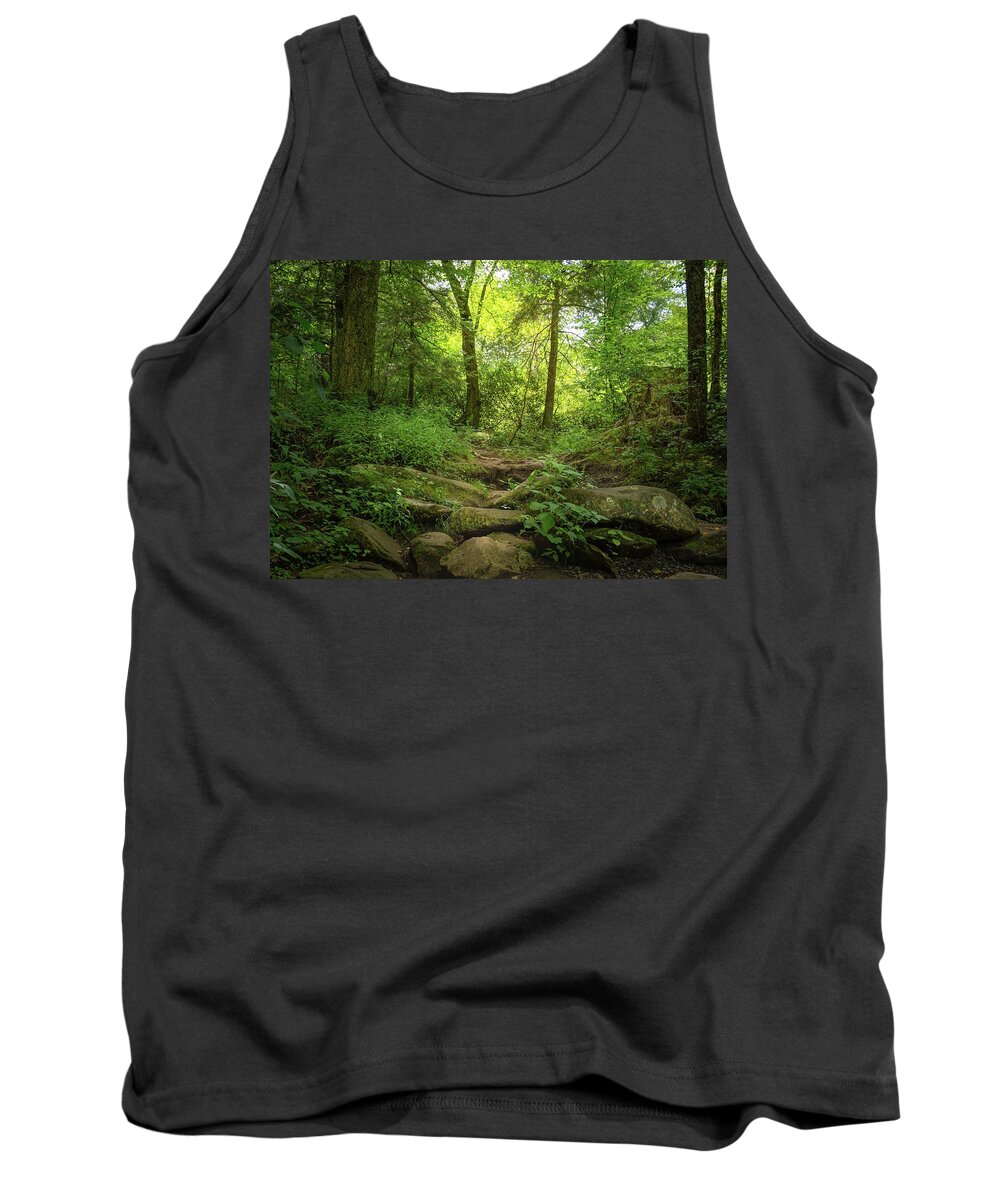Forest Pathway Tank Top featuring the photograph Forest by Rebecca Herranen