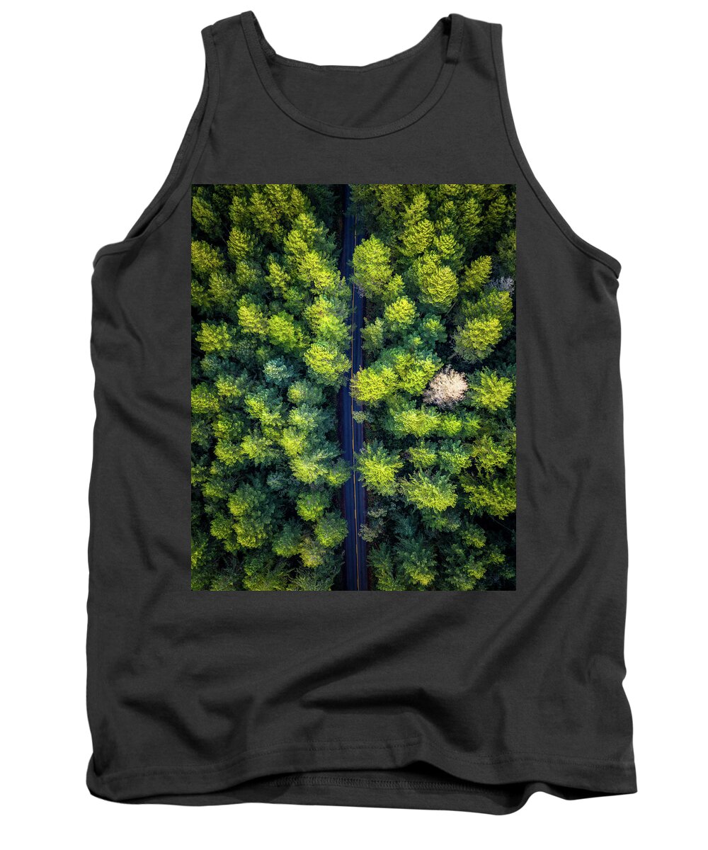 Road Tank Top featuring the photograph Forest Road by Clinton Ward
