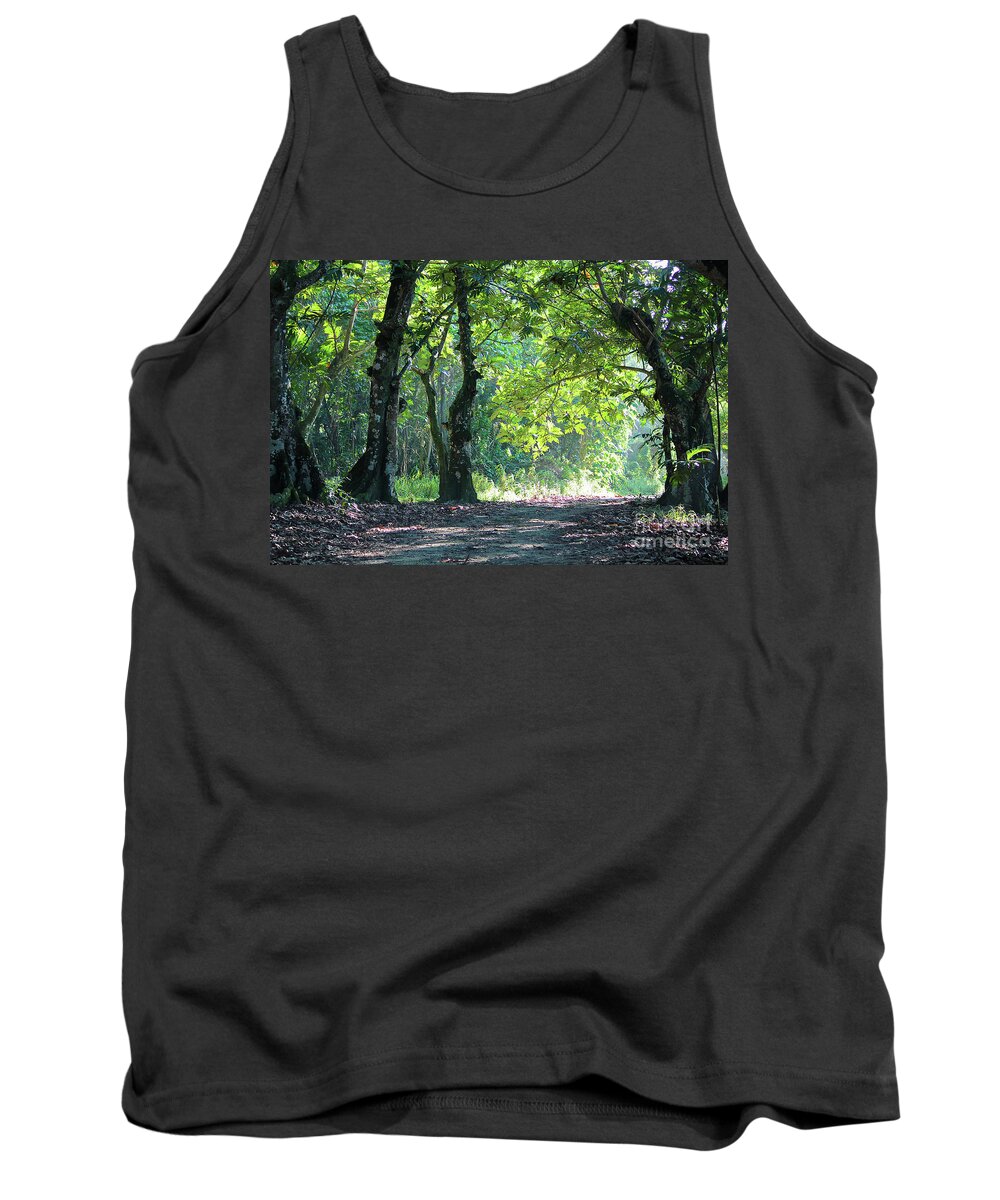 Nature Tank Top featuring the photograph Forest Scene by On da Raks