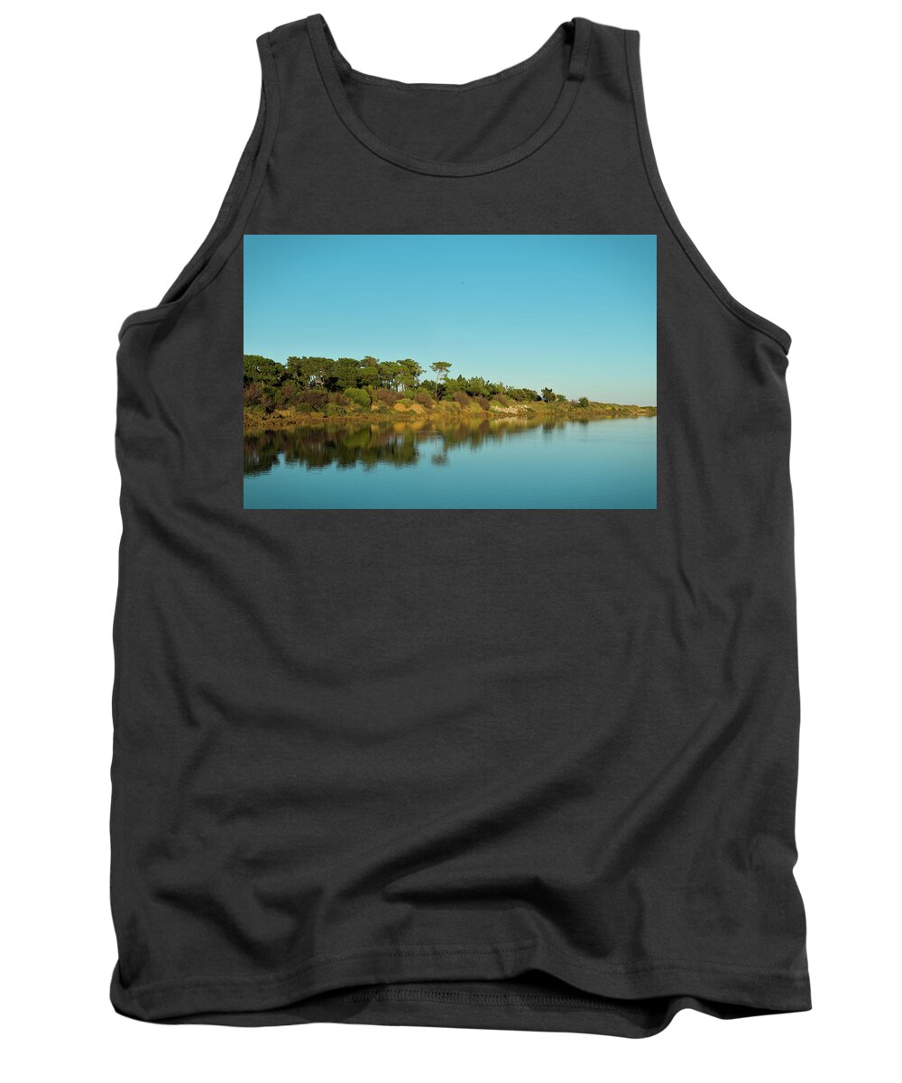 Lake Tank Top featuring the photograph Forests Mirror by Angelo DeVal