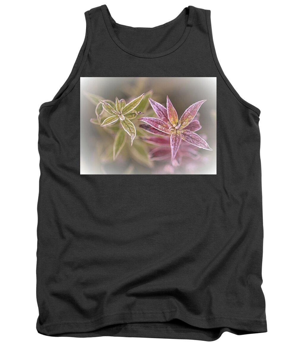 Frosted Tank Top featuring the photograph Frosted Flora by Jaki Miller