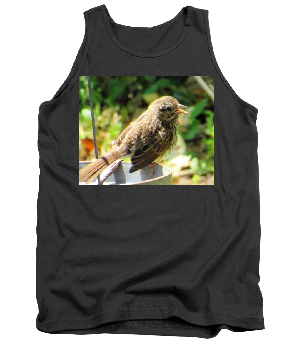 #baby #brownthrasher #fledgling #birdoffuzz #fuzzy #morning #light #hungry #breakfasttime #spring #northgeorgia Tank Top featuring the photograph Fuzzy Fella by Belinda Lee
