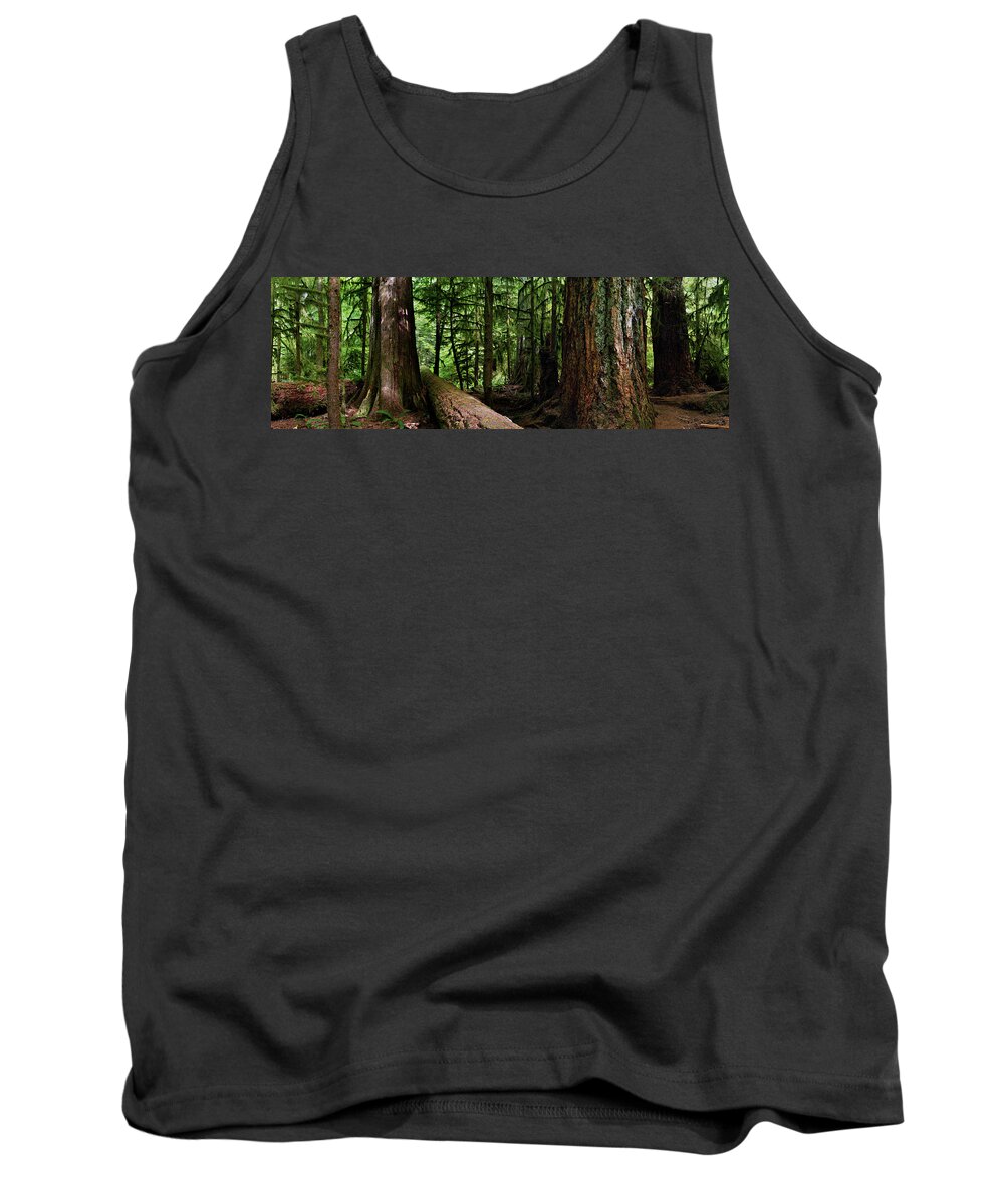 617 Tank Top featuring the photograph Giants - Canada Pacific Rim Vancouver Island Rain Forest by Sonny Ryse