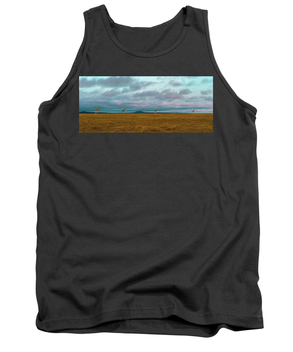Africa Tank Top featuring the photograph Giraffe Parade at Sunset by Laura Hedien