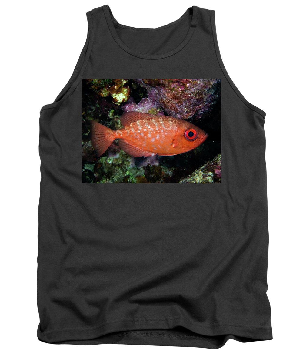 Snapper Tank Top featuring the photograph Glasseye Snapper by Brian Weber