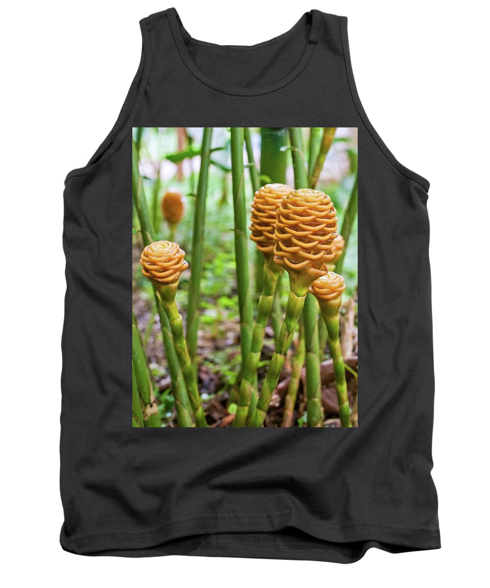 Close Up Tank Top featuring the photograph Golden beehive ginger Zingiber spectabile griff, Beautiful trop by Henri Leduc