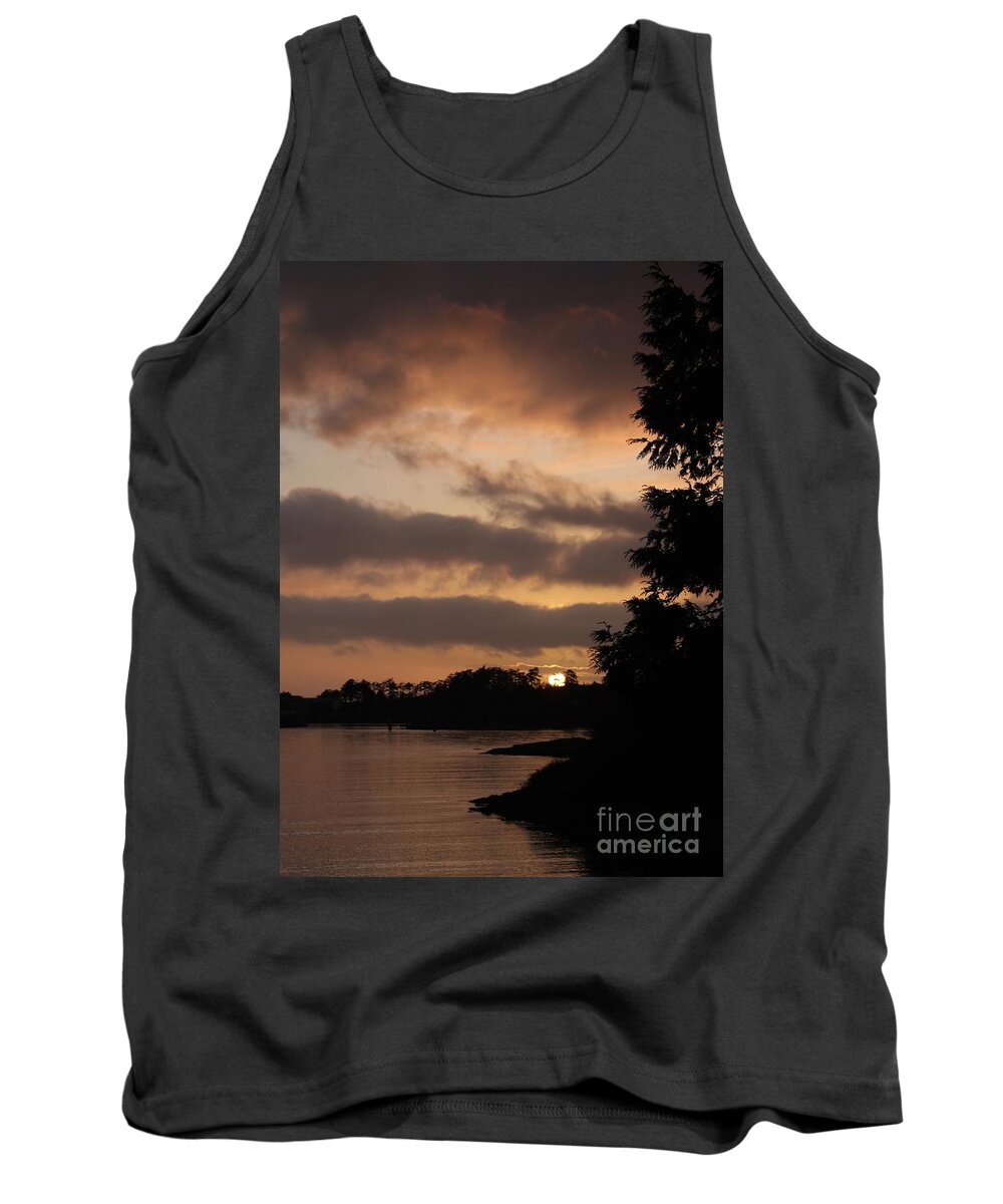 Victoria Tank Top featuring the photograph Golden Moment by Kimberly Furey