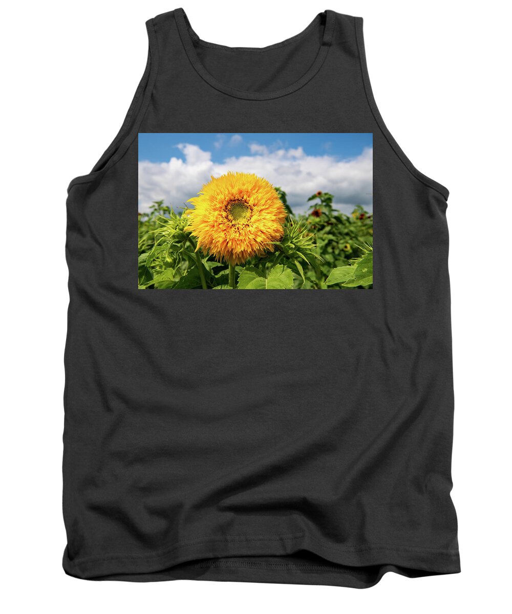 Goldy Double Tank Top featuring the photograph Goldy Double by Rose Guinther