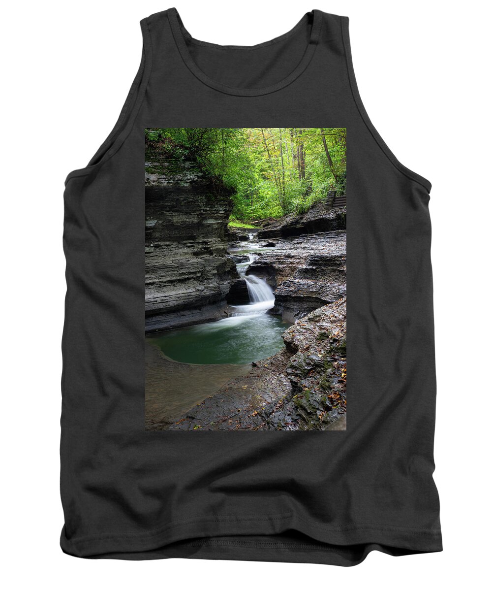State Park Tank Top featuring the photograph Gorge Trail at the Buttermilk Falls State Park 2 by Dimitry Papkov