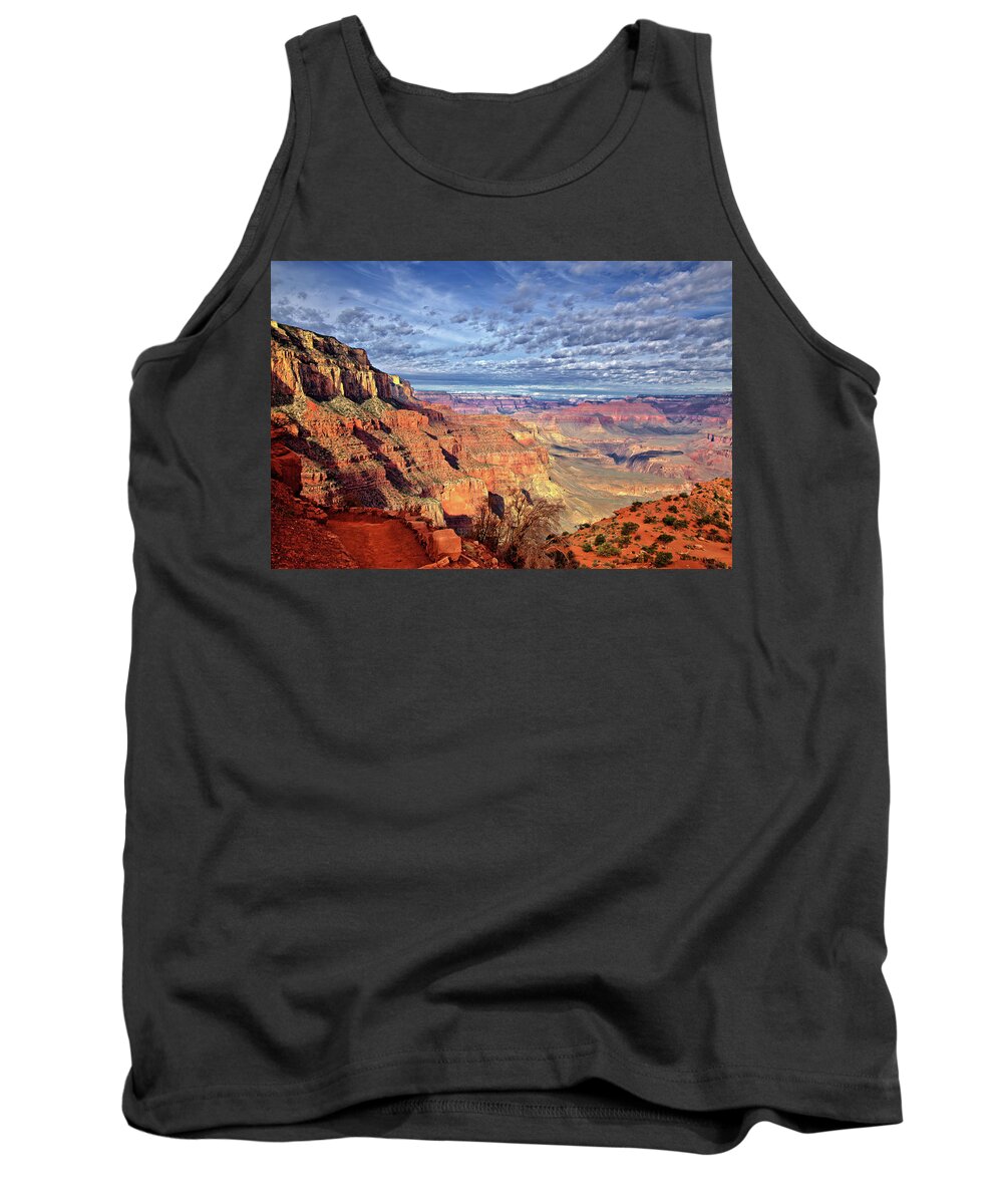 Grand Canyon Tank Top featuring the photograph Grand Canyon View by Bob Falcone