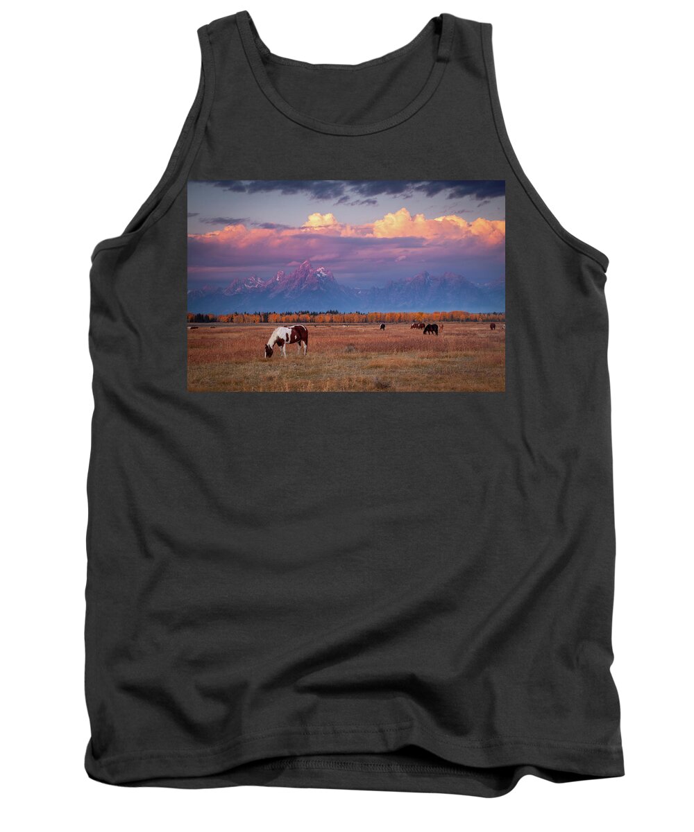 Grand Tetons Tank Top featuring the photograph Grand Teton Pasture by Wesley Aston