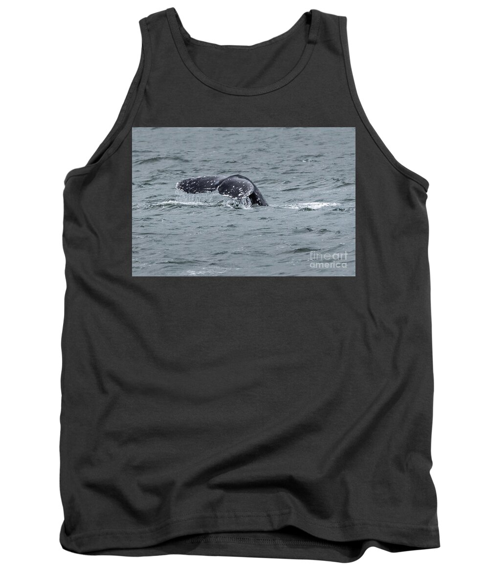 Eschrichtius Robustus Tank Top featuring the photograph Gray Whale Tail by Nancy Gleason