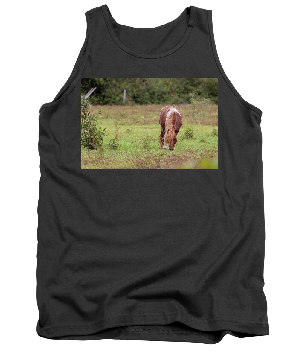 Camping Tank Top featuring the photograph Grazing Horse #291 by Michael Fryd