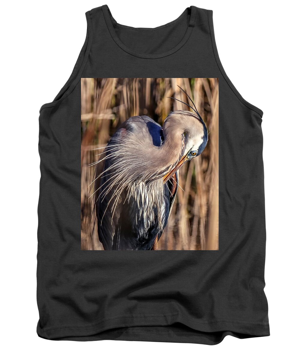 Bird Tank Top featuring the photograph Great Blue Heron Portrait IV by Susan Rydberg