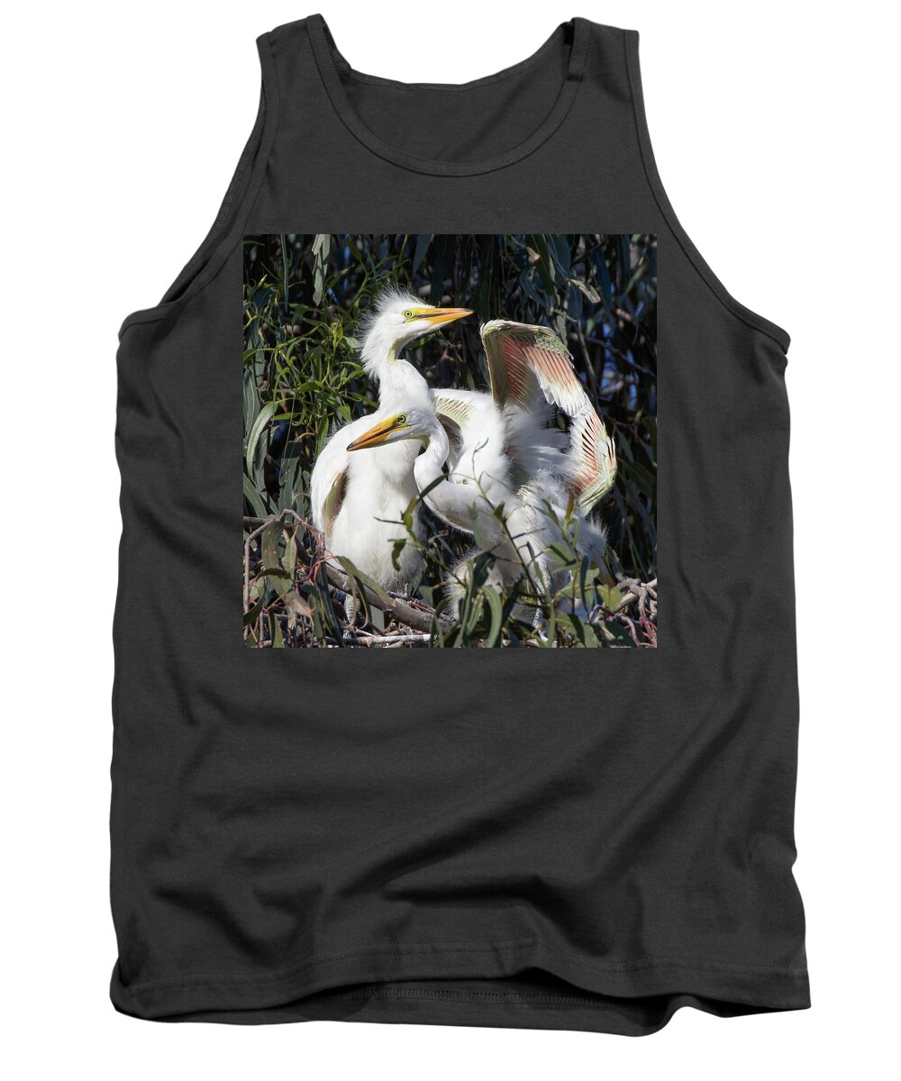 Egret Chicks Tank Top featuring the photograph Great White Egret Chicks Flapping Wings in Their Nest by Kathleen Bishop