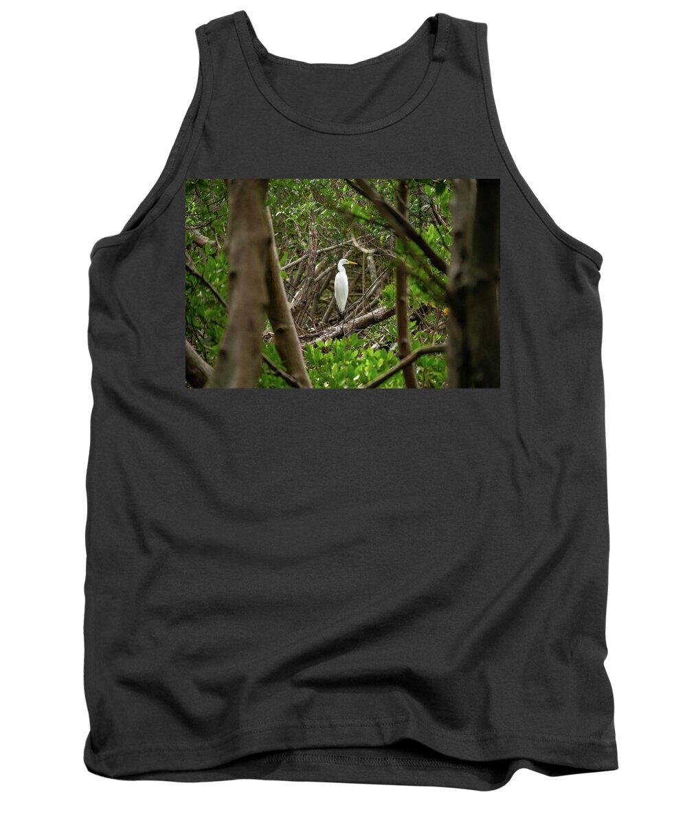 Florida Tank Top featuring the photograph Great White Heron Horizontal by Marian Tagliarino