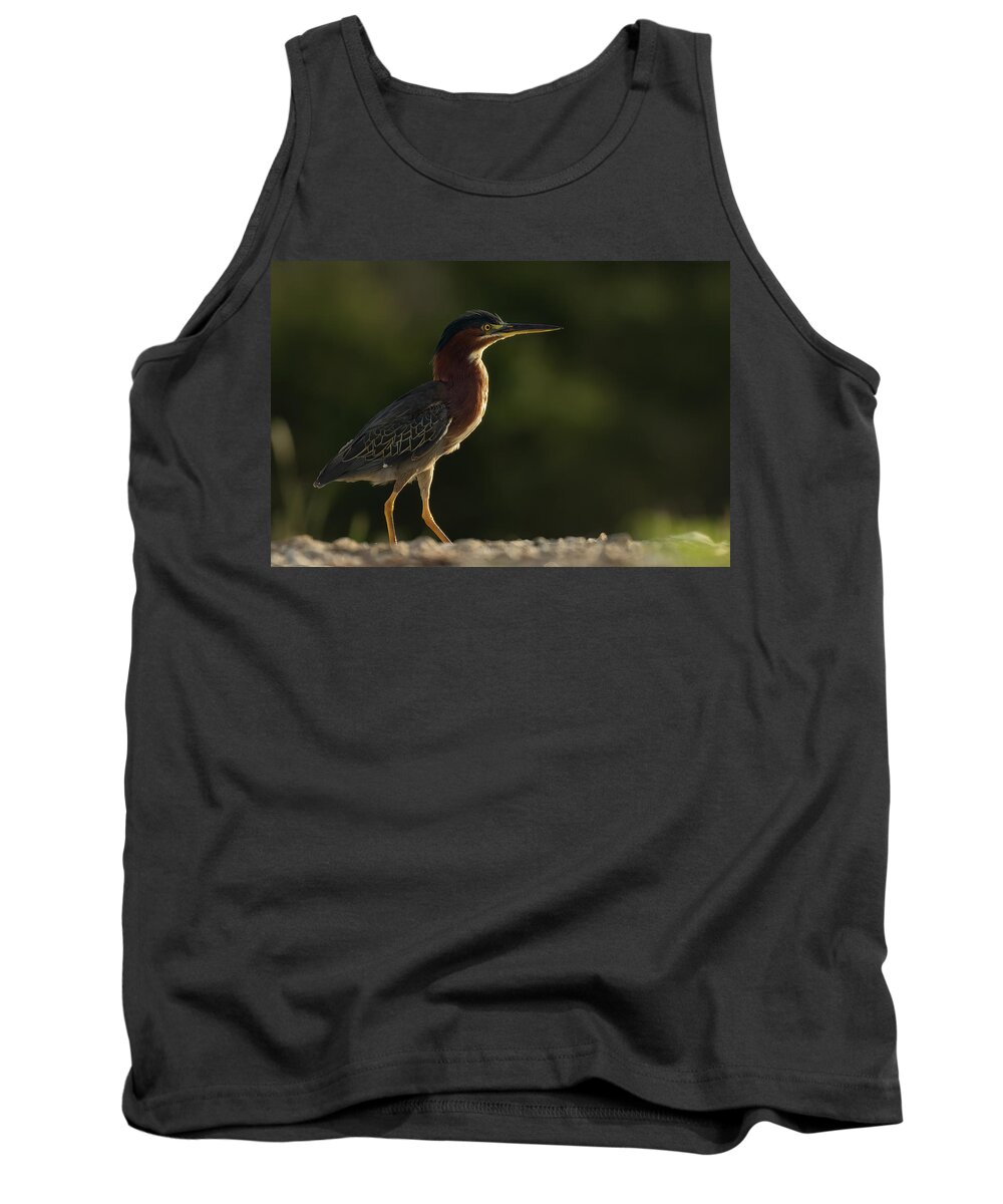 Green Heron Tank Top featuring the photograph Green Heron Strut by RD Allen