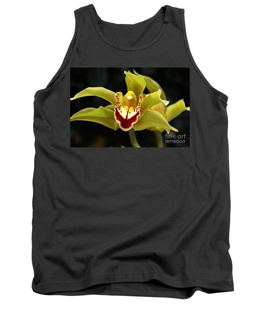 Asparagales Tank Top featuring the photograph Green Orchid Flower by Joy Watson