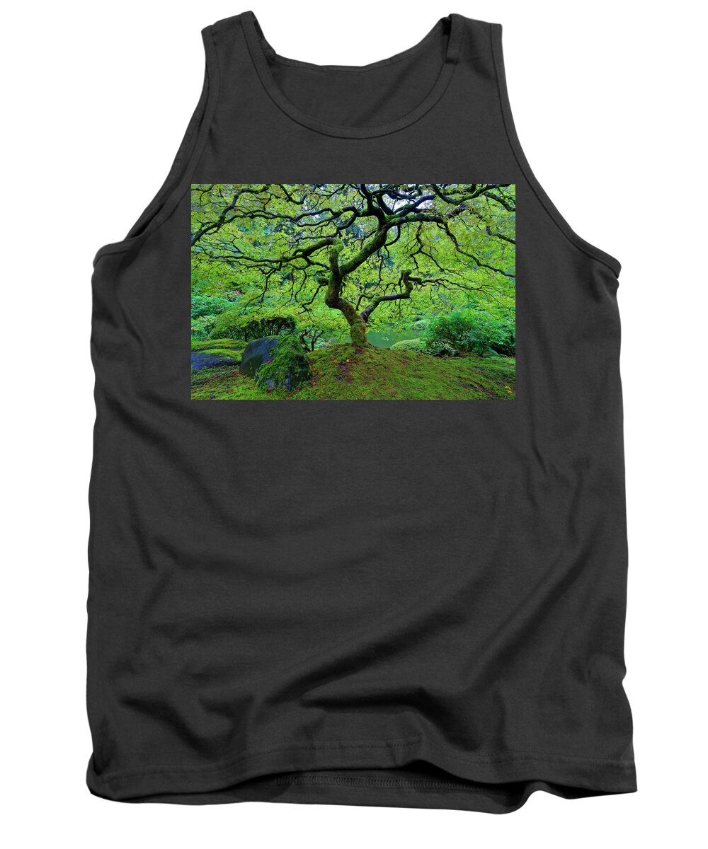 Japanese Maple Tank Top featuring the photograph Green With Envy by Jonathan Davison