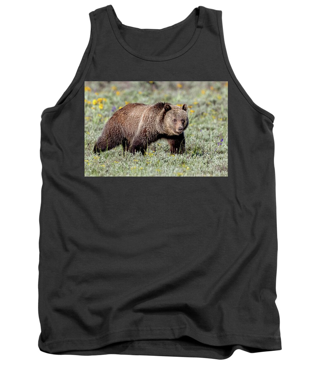 Grizzly Bear Tank Top featuring the photograph Grizzly Bear Stepping Out by Jack Bell