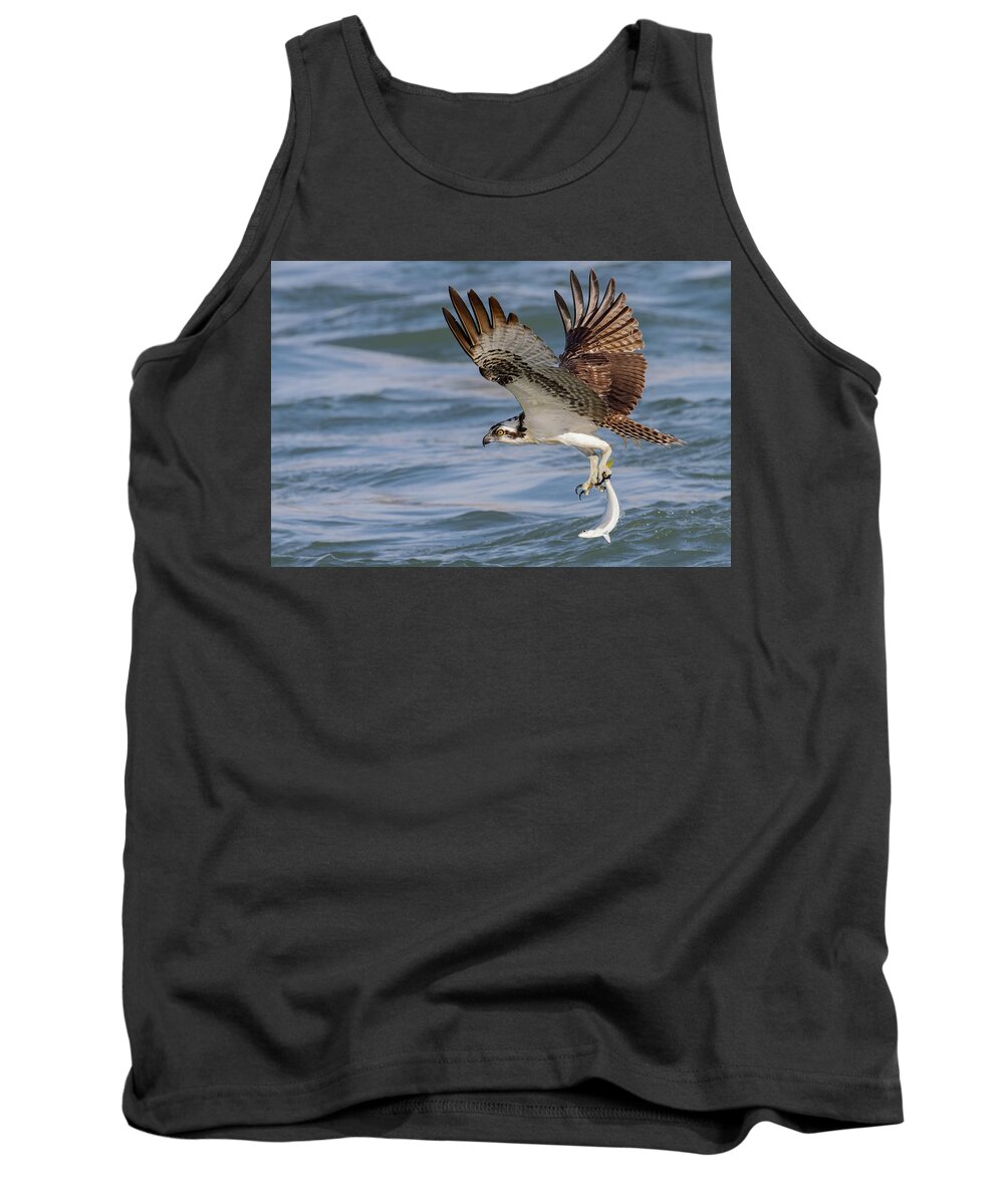 Osprey Tank Top featuring the photograph Hangin' by One v2 by RD Allen