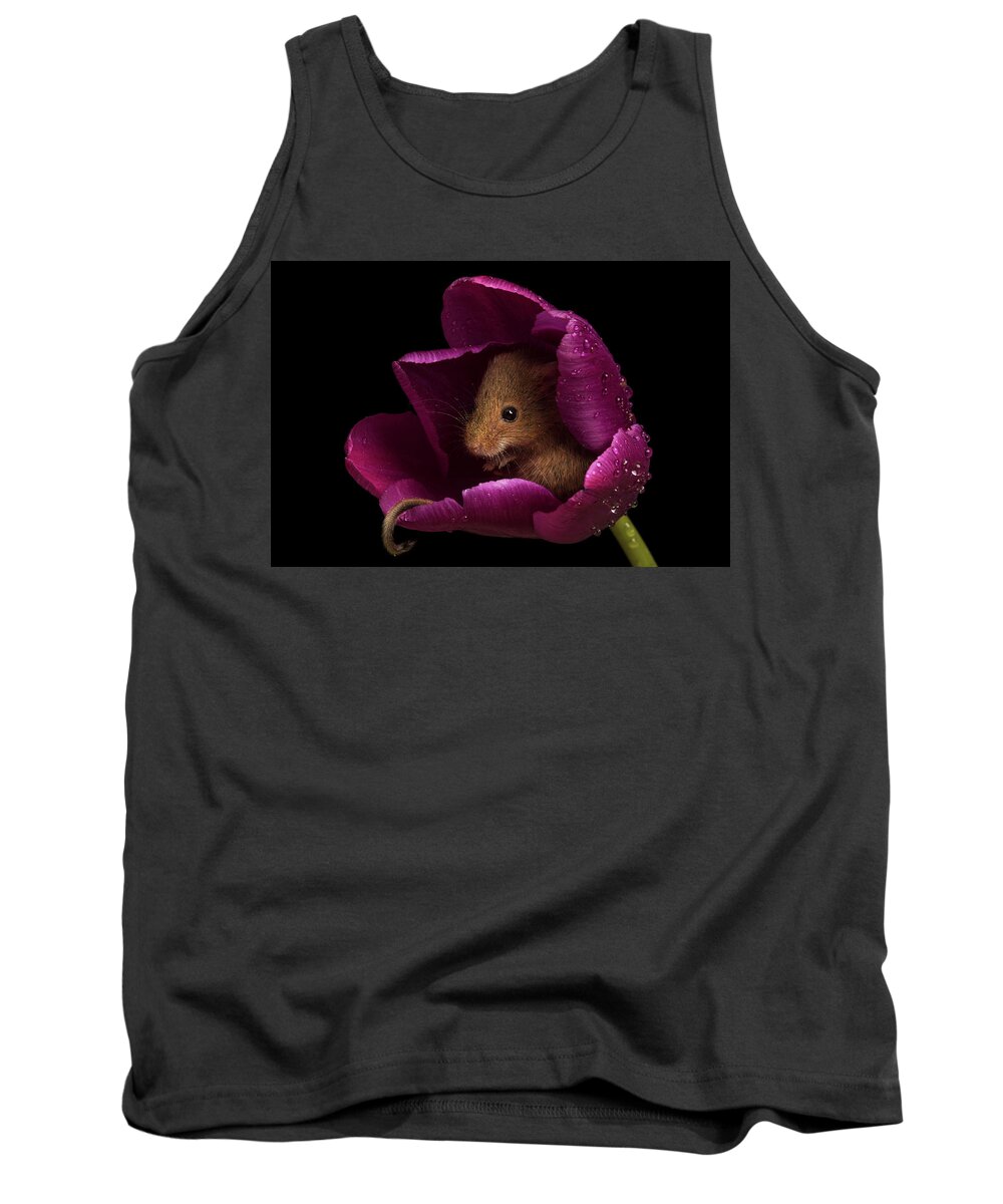 Harvest Tank Top featuring the photograph Harvest Mouse-3428 by Miles Herbert
