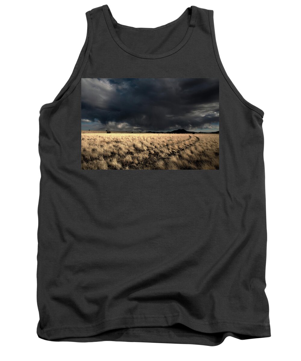High Desert Tank Top featuring the photograph High Desert Two Track by Mark Gomez