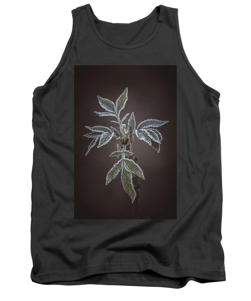 Cold Tank Top featuring the photograph Hoarfrost by Marc Braner