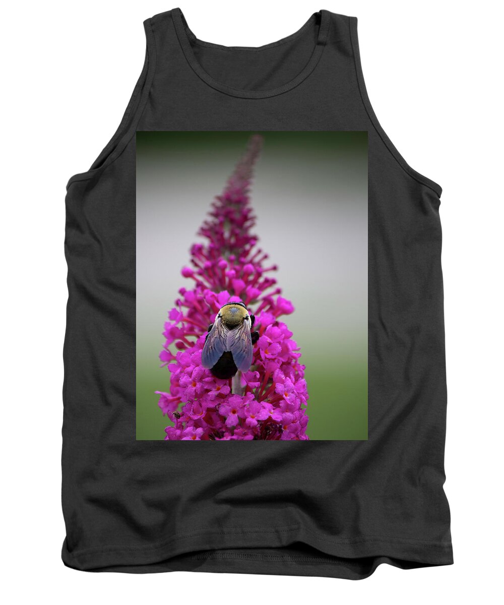 Bee Tank Top featuring the photograph Honey Highway by Charles Floyd