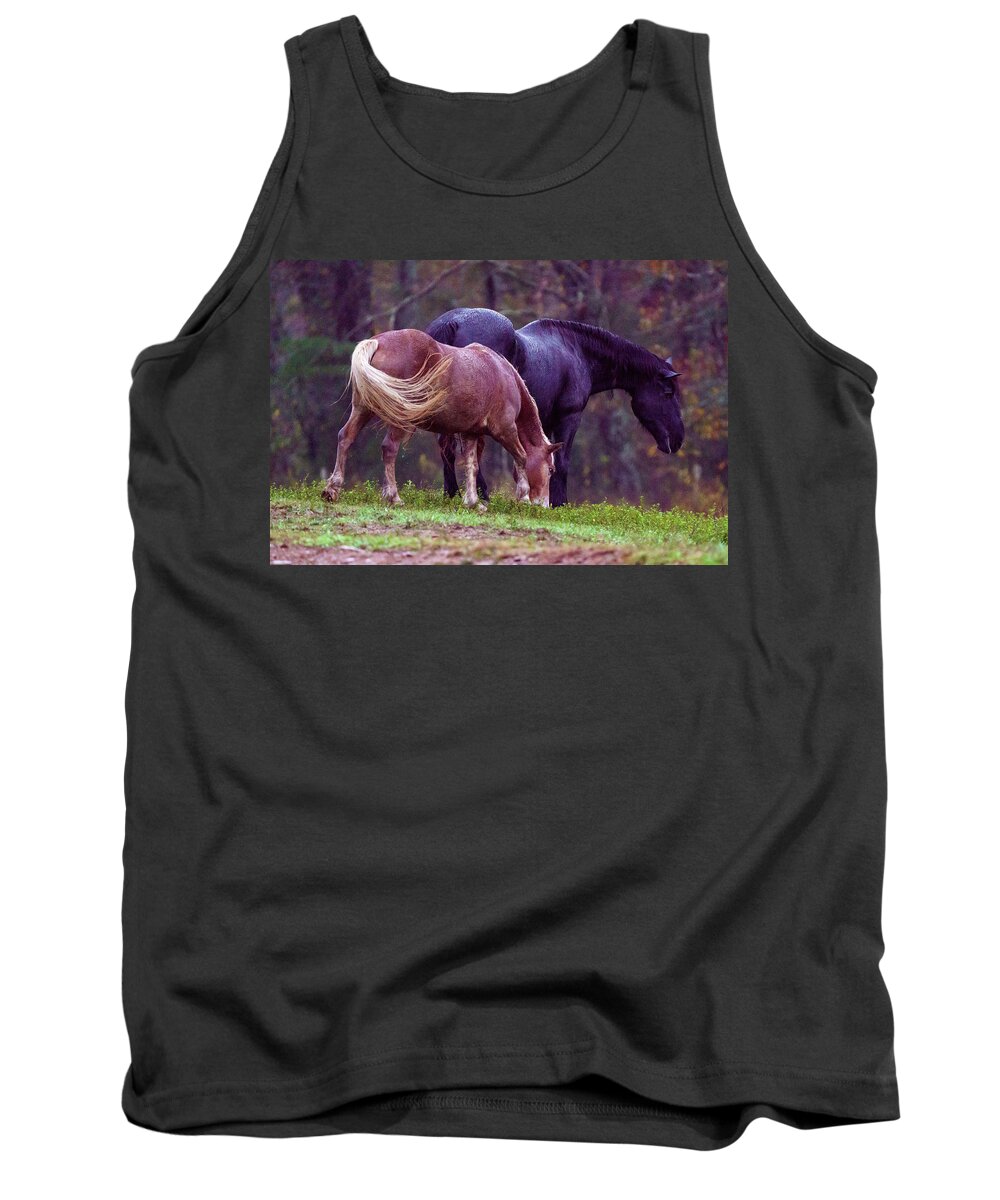 Cade's Cove Tank Top featuring the photograph Horses in Cade's Cove by Darrell DeRosia