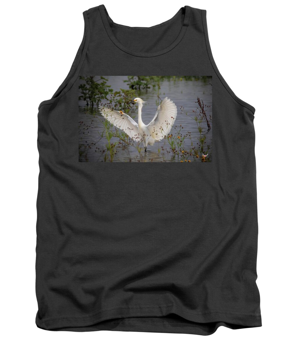 Wings Tank Top featuring the photograph I Am Fabulous by Pam Rendall