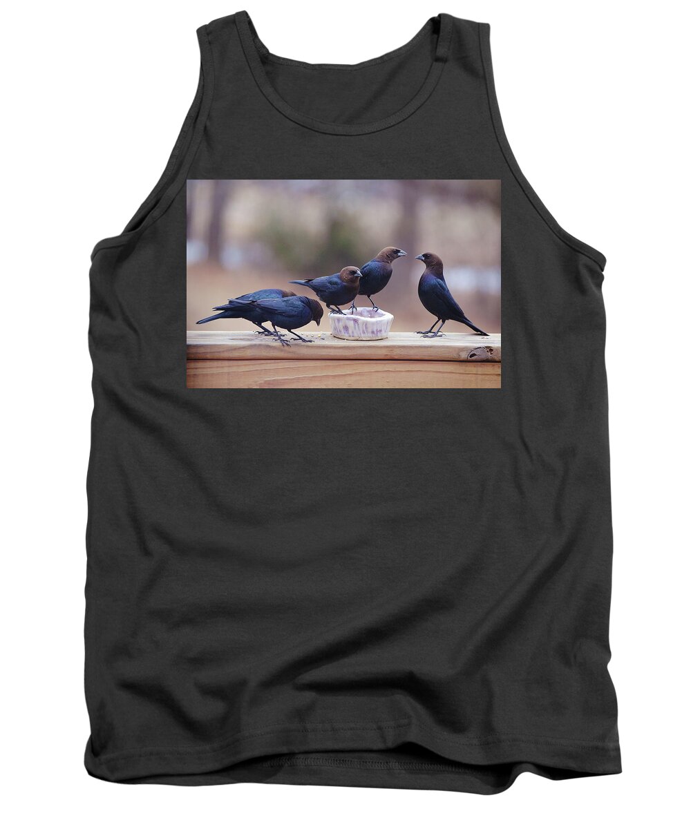 Bird Tank Top featuring the photograph I Dare You - Brown Headed Cow Birds by Gaby Ethington