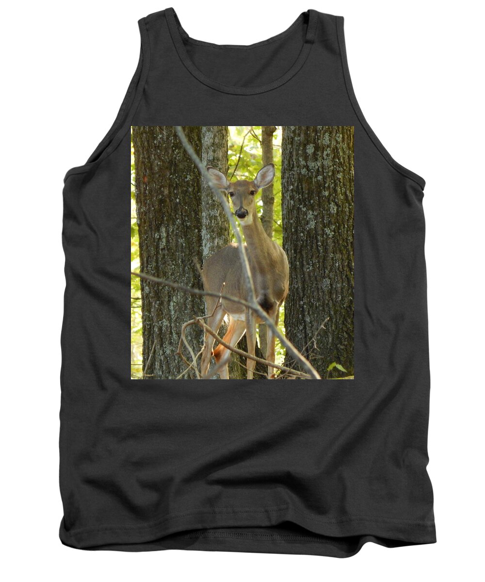 Outdoors Tank Top featuring the photograph I See You by Chris Tarpening