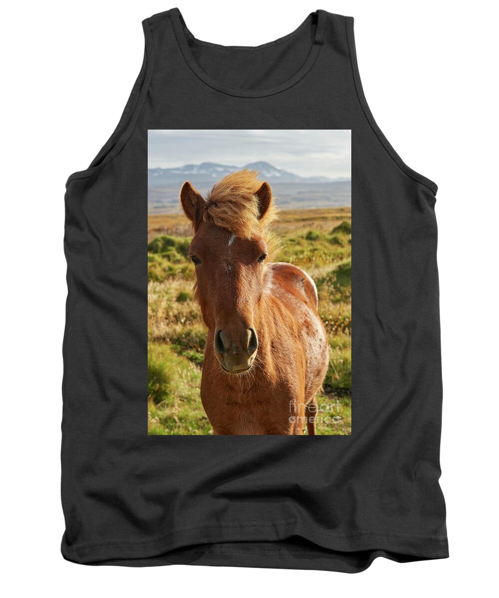Animal Tank Top featuring the photograph Iceland Horse by Matteo Del Grosso