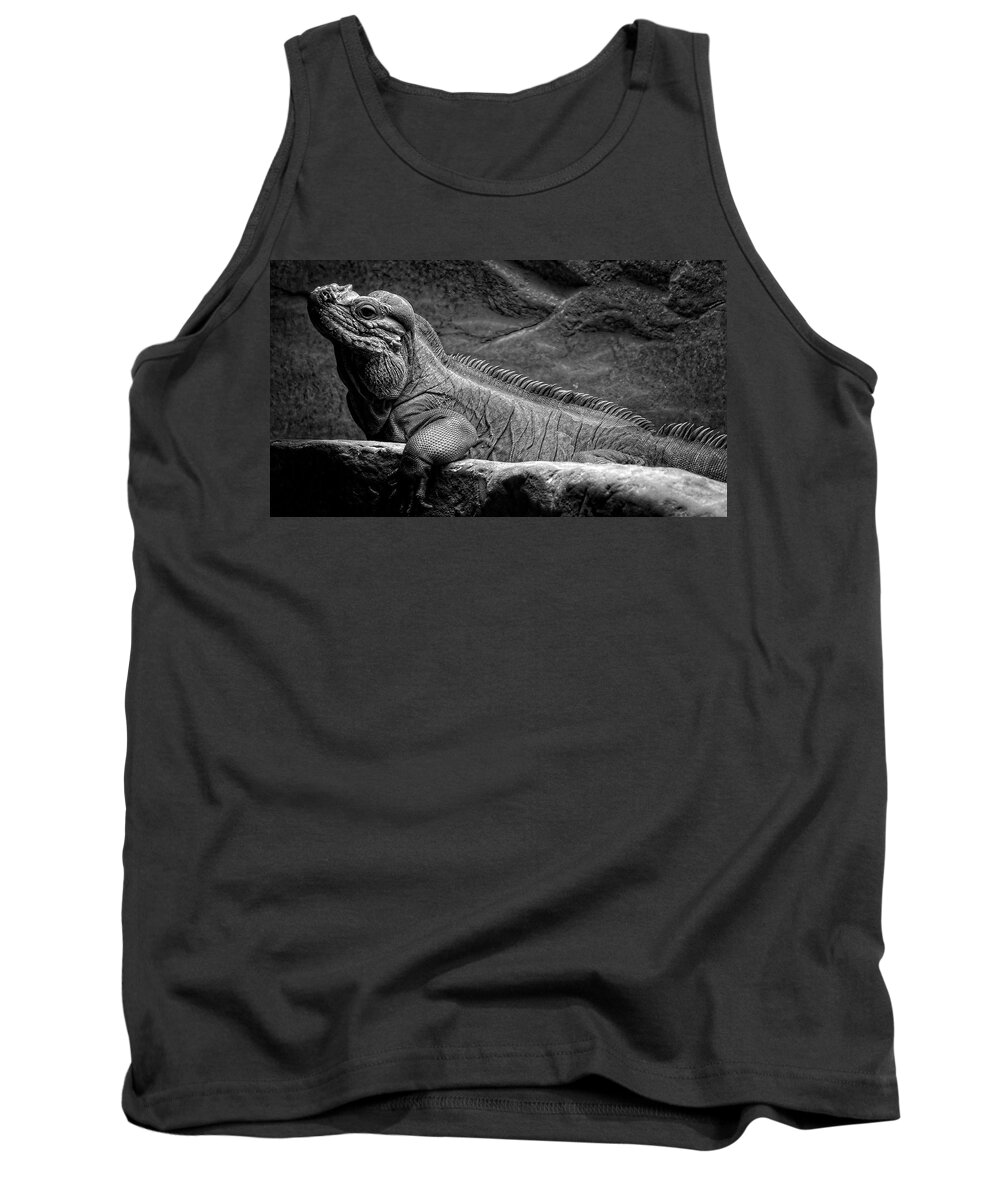 Lizard Tank Top featuring the photograph I'm Cool How About You by George Taylor