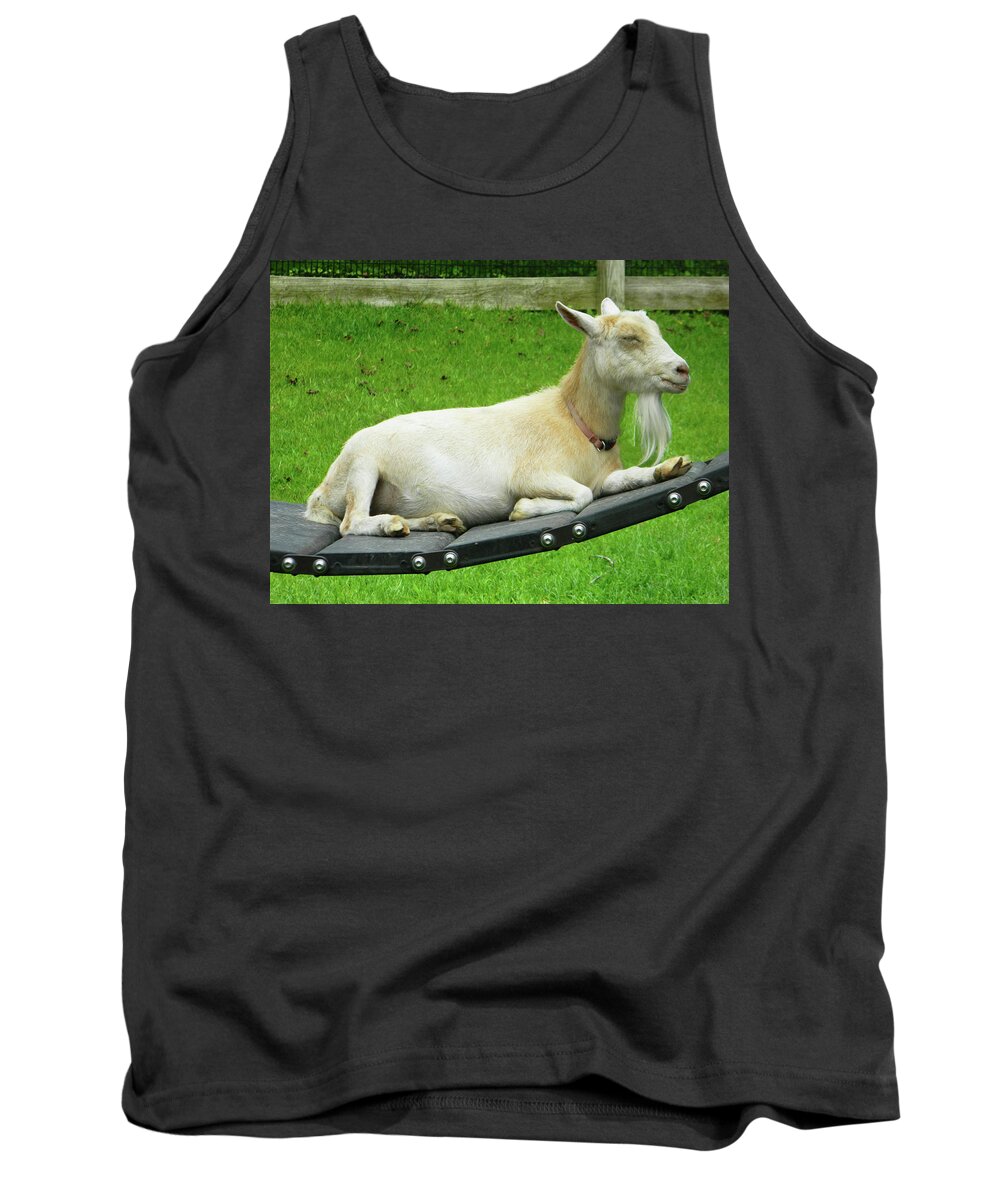 Goats Tank Top featuring the photograph I'm Lucy - I Like You by Emmy Marie Vickers