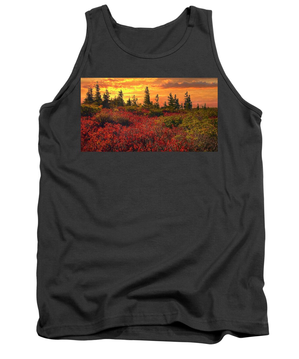 Dolly Sods Tank Top featuring the photograph Impressionistic Dolly Sods by Art Cole