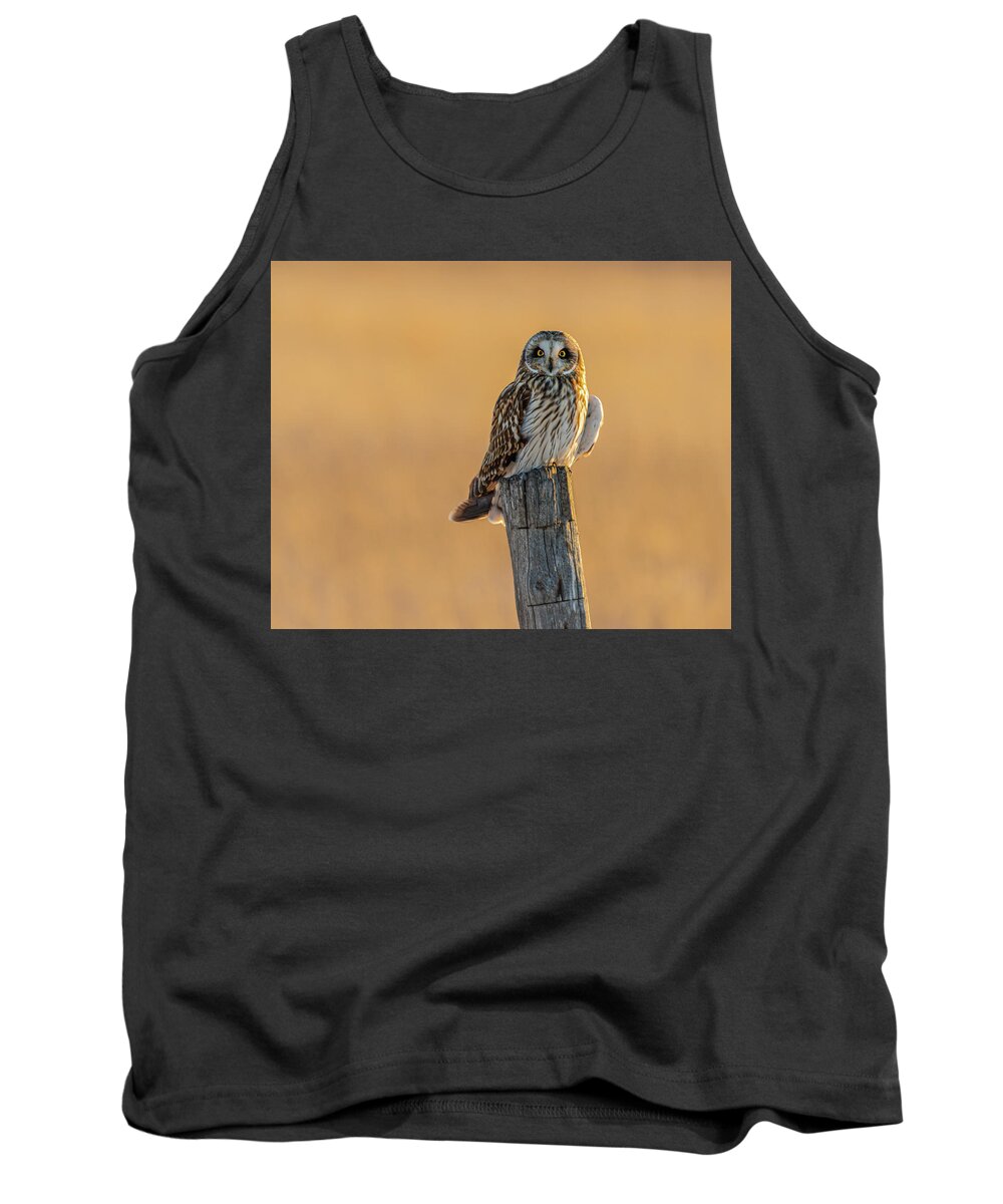Short-eared Owl Tank Top featuring the photograph In The Glow by Yeates Photography