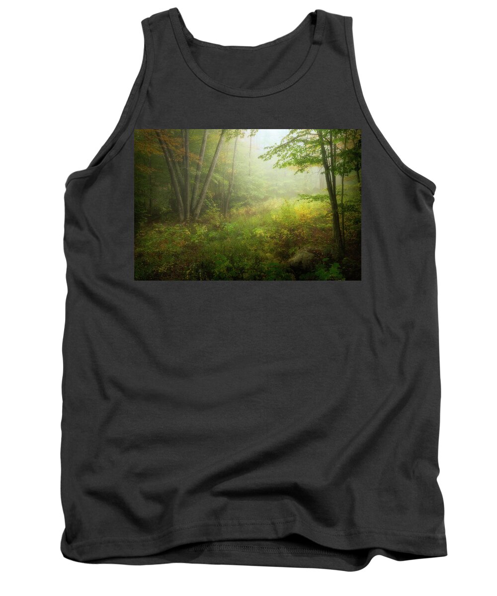 Forest Tank Top featuring the photograph In the woods #1 by Henry w Liu