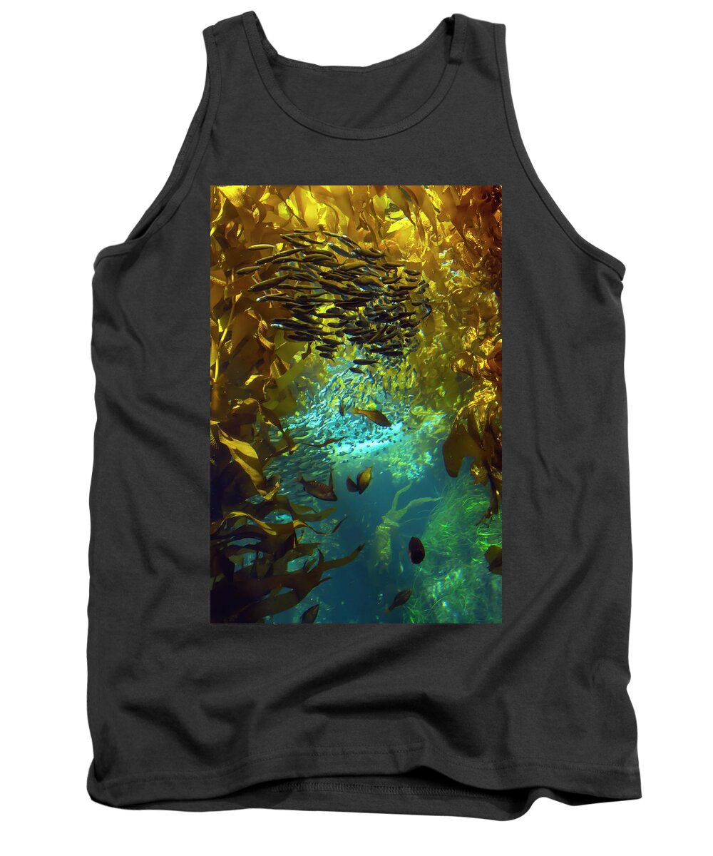Fish Tank Top featuring the photograph Inside The Kelp Forest by Bonnie Follett